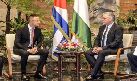 Dialogan presidente de Cuba y canciller de Hungría