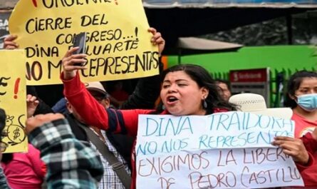 Peruanos exigen la renuncia de Dina Boluarte y el cierre del Congreso