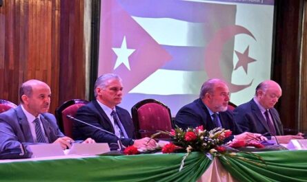 Presidente de Cuba encabeza foro empresarial con Argelia