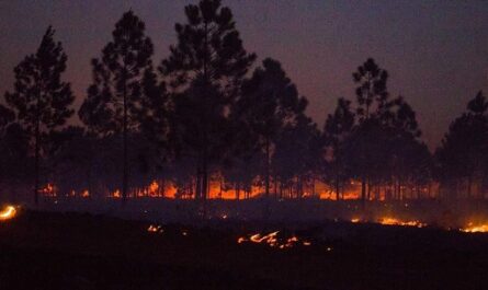 Presidente cubano sigue atento la lucha contra incendio forestal