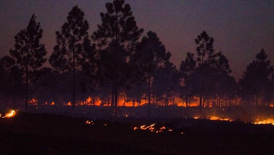 Presidente cubano sigue atento la lucha contra incendio forestal