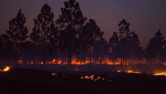 Presidente cubano sigue atento la lucha contra incendio forestal