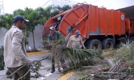 Trabajadores Comunales