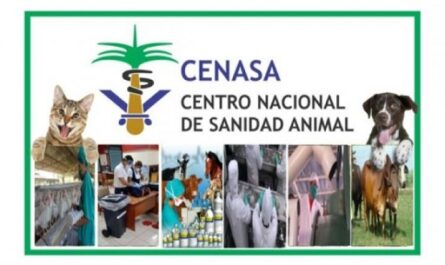 Cuba emite medidas para estricto control de influenza aviar