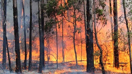 Mantienen acciones para controlar incendio en oriente de Cuba