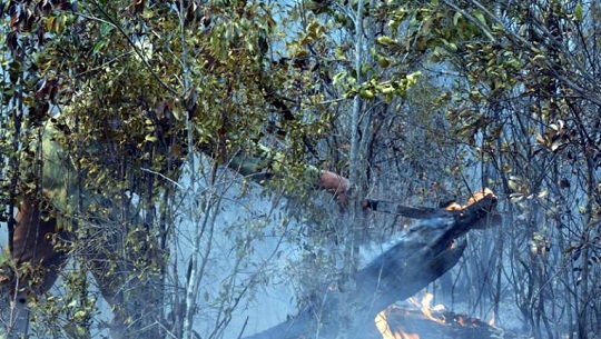 Enero con cifra récord de incendios forestales en Cuba