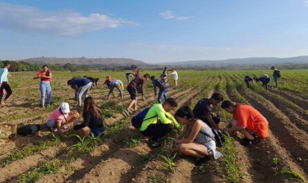 Jóvenes de Cienfuegos otra vez a la vanguardia