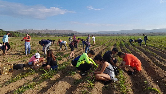 Jóvenes de Cienfuegos otra vez a la vanguardia