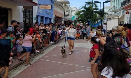 Realizan actividades en Cienfuegos para saludar Día de la Mujer