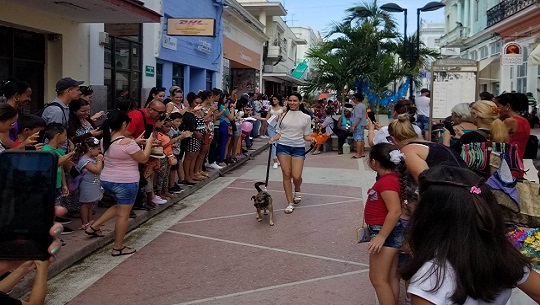 Realizan actividades en Cienfuegos para saludar Día Internacional de la Mujer (+Fotos)