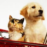 Bacterias resistentes podrían transmitirse entre mascotas y humanos