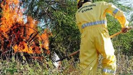 Incendios forestales 2023