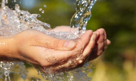 El presidente de Cuba, Miguel Díaz-Canel, llamó hoy en Twitter a cuidar y proteger el agua, en ocasión de celebrarse el Día Mundial del precioso y escaso líquido.