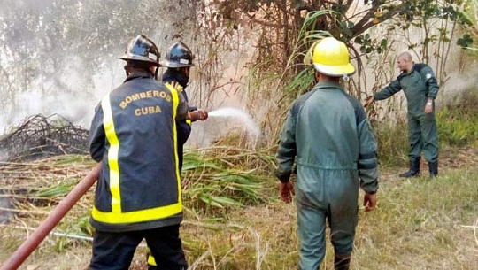 Más de tres mil 600 hectáreas de bosques de pinos, pastizales y cafetos están afectados hasta el momento por el gran incendio en Pinares de Mayarí, en el oriente de Cuba, informaron hoy autoridades medioambientales.