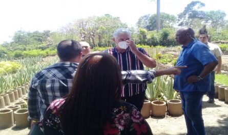 Visita Miguel Díaz Canel sectores productivos en Cienfuegos
