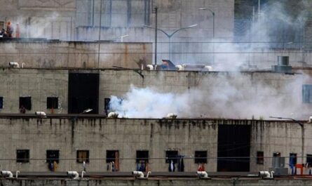 Ecuador acumula 442 presos asesinados en las cárceles