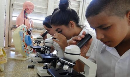 Triángulo de la confianza: Formación vocacional en la Secundaria Básica