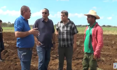 Visita integral de Secretariado y estructura auxiliar de CC del Partido en Cienfuegos