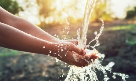 Agua y Sostenibilidad