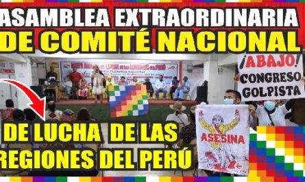 Avanza Asamblea Extraordinaria del Comité Nacional de Lucha en Perú