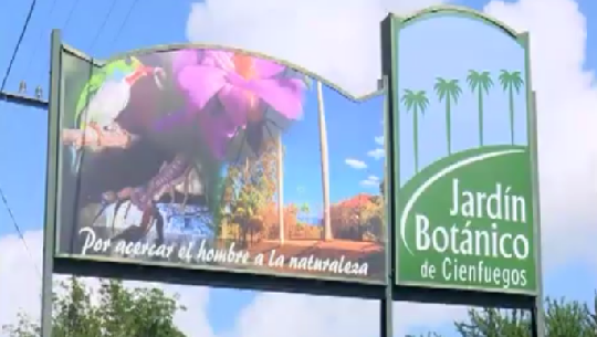 📹 Destaca Red Nacional de Jardines Botánicos labor de institución en Cienfuegos