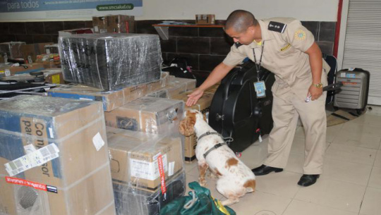 Anuncia aduana cubana decomiso de 14 kilogramos de drogas
