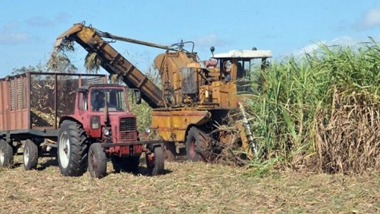 Suman 23 empresas cienfuegueras con saldos rojos en las ventas netas