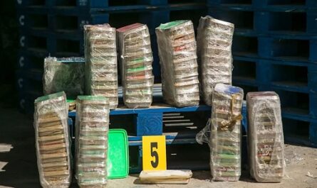 Incautan más de 120 kilogramos de marihuana en capital dominicana (Foto tomada de El economista)