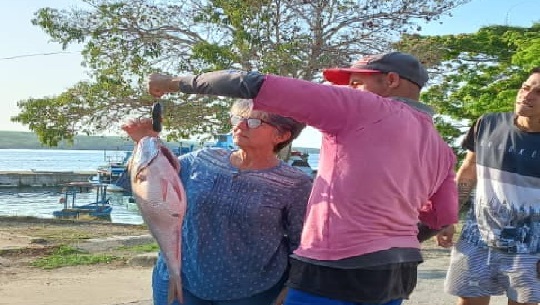 Cienfuegos: Premian a ganadores de la corrida del pargo