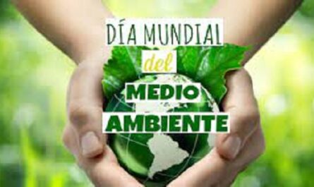 Día Mundial Medioambiente 2023