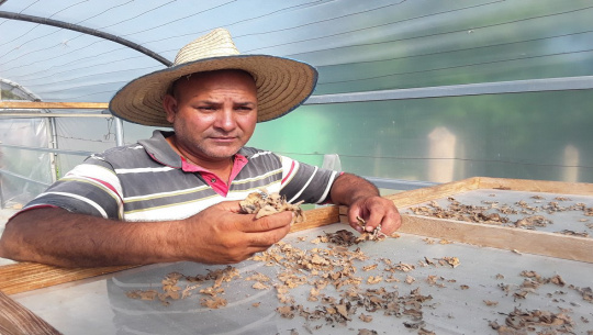 Mas preservación a productos agrícolas en finca de Cienfuegos (+Fotos)