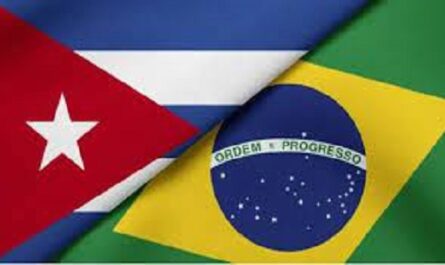 Llaman en Brasil a fortalecer movimiento solidario con Cuba (Foto tomada del Ministerio de Relaciones Exteriores de Cuba)