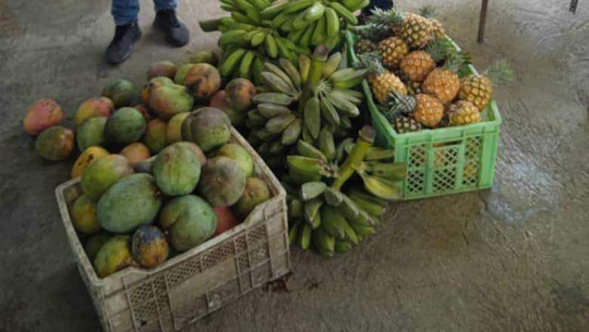 Entregan donativo de alimentos al Hogar Materno de Abreus