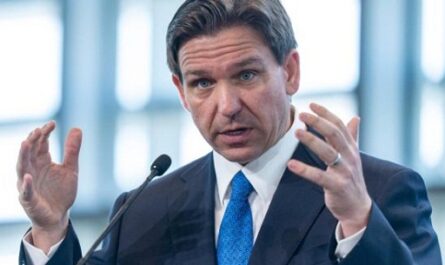 Nueva ley de DeSantis contra la inmigración ilegal en Florida entra en vigor