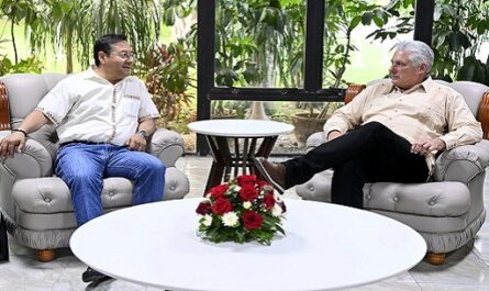 Presidente de Cuba sostiene conversación con su homólogo de Bolivia
