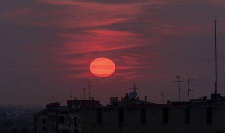 Las temperaturas nocturnas elevadas son más peligrosas para la salud que las del día