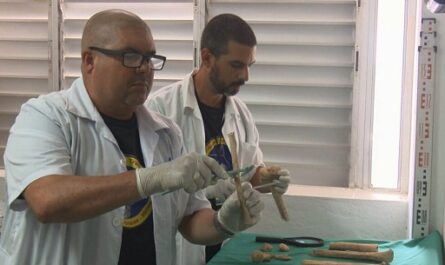 Confirman en Cuba ADN de restos de joven combatiente en Playa Girón