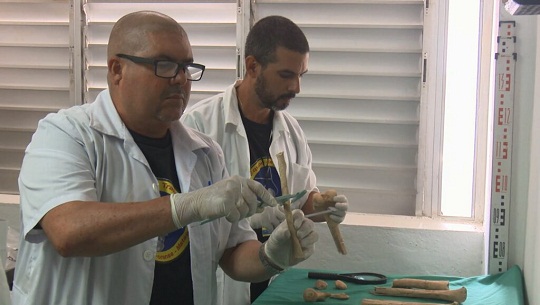 Confirman en Cuba ADN de restos de joven combatiente en Playa Girón (+Foto)