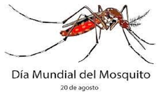 Día Mundial del Mosquito