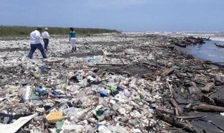 Toneladas de desechos sólidos invaden las costas de Honduras