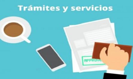 Trámites y servicios que brinda el registro comercial del MINCIN en Cienfuegos