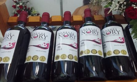 Afianza presencia en el mercado Bodegas Nory, de Cienfuegos