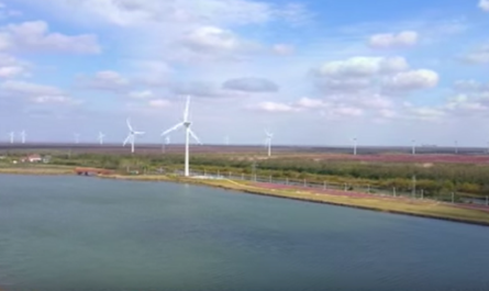 China ratifica compromiso con transición energética verde