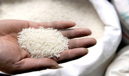 Comentario, El precio del arroz va cuesta arriba