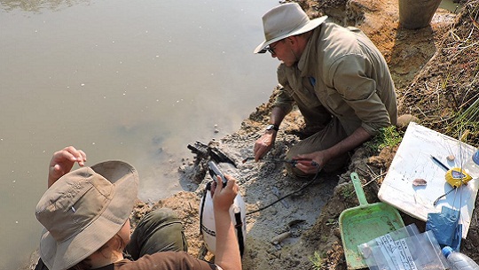 Científicos de las universidades de Liverpool y de Aberystwyth, ambas en Reino Unido, presentan en un estudio en la revista Nature con evidencias fósiles de antiguas estructuras de madera del Pleistoceno descubiertas en la cuenca del río africano Kalambo (Zambia).