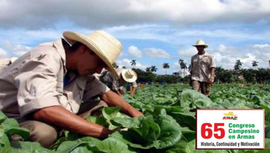 Conmemoran campesinos de Cienfuegos aniversario 65 del  Congreso Campesino en Armas