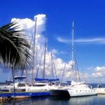 Marina Marlin, un mundo submarino por descubrir
