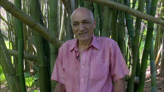 📹 Participa Cuba en proyecto internacional para potenciar usos del bambú