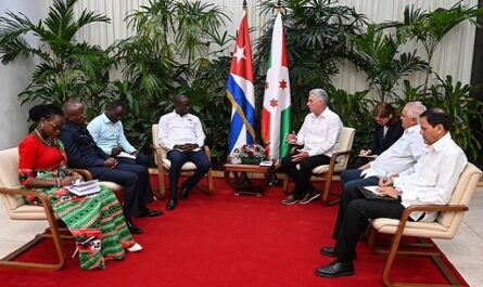 Presidente cubano recibió a líder de organización política de Burundi