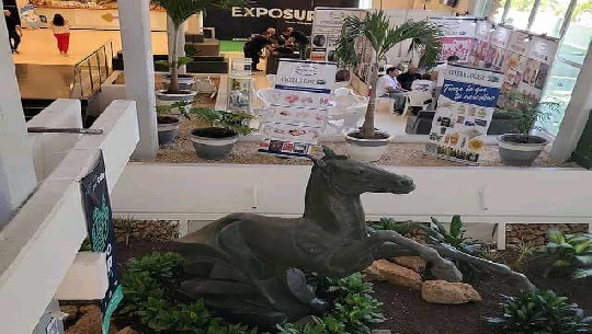 Superó expectativas Feria Internacional ExpoSur 2023 de Cienfuegos